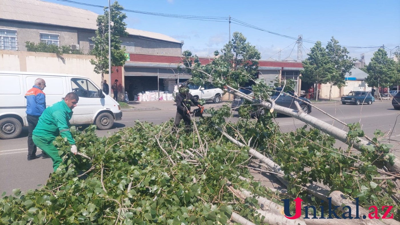 Güclü külək Gəncədə fəsadlar törətdi - FOTO